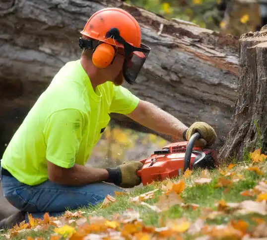 tree services Britton